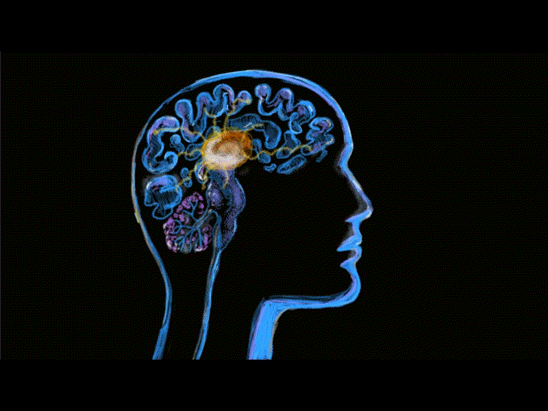Signal Transmisi