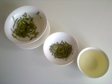 Green Tea EGCG